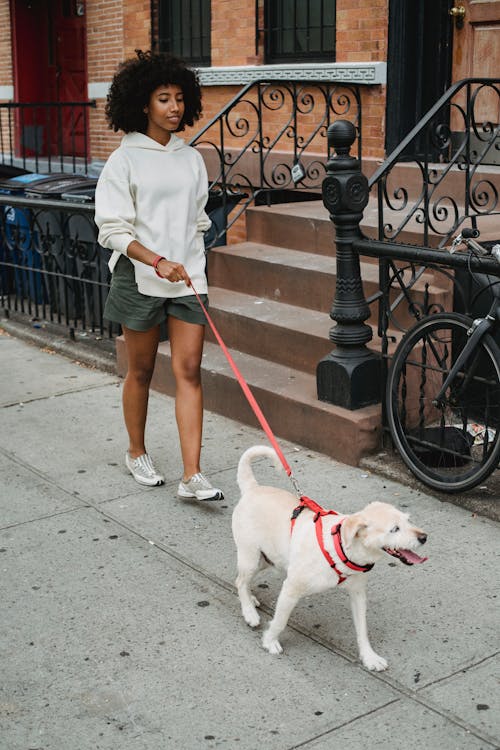 First-Time Dog Owner Checklist: 18 Things Every Pet Parent Needs